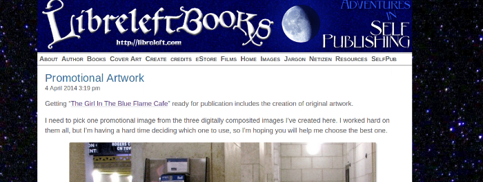 Libreleft books: My Business Blog